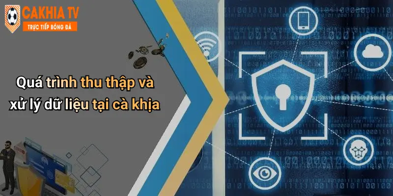 Quá trình thu thập và xử lý dữ liệu tại cà khịa